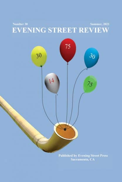 Evening Street Review Number 30 cover