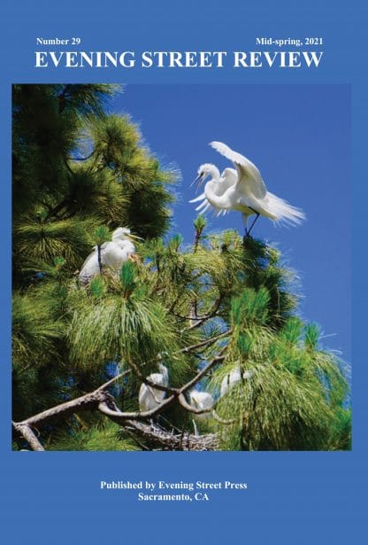 Evening Street Review Number 29 cover