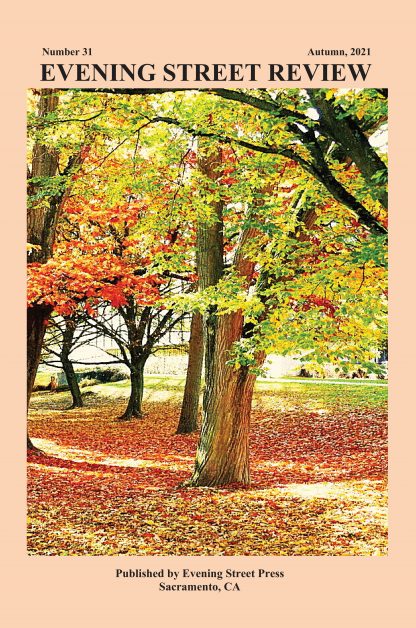 Evening Street Review Number 31 cover