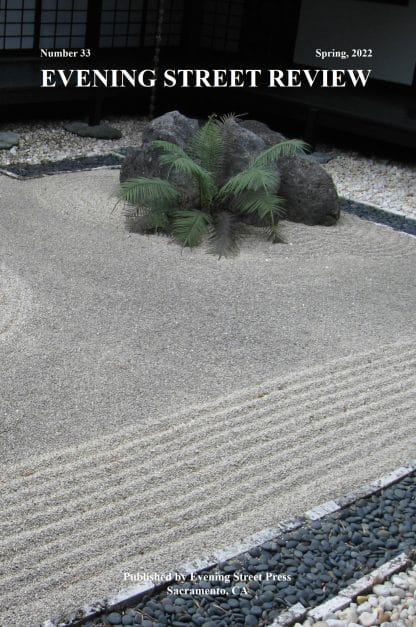 Evening Street Review Number 33 cover