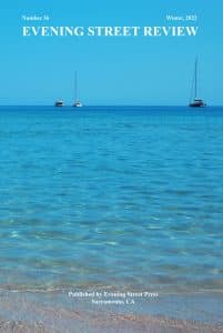 Cover Evening Street Review #36