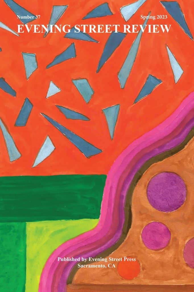 Evening Street Review #37 cover by Brian Fuller