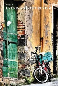 Cover Evening Street Review 38, Summer 2023