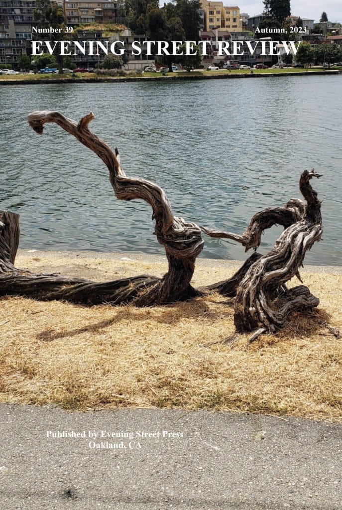 Cover EVENING STREET REVIEW NUMBER 39, AUTUMN 2023