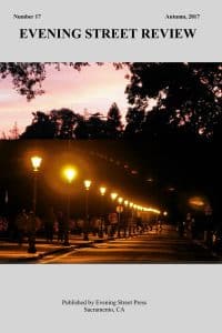 Cover Evening Street Review NUMBER 17