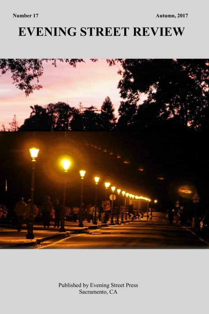 Cover Evening Street Review NUMBER 17