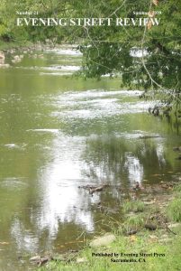 Cover Evening Street Review Number 21