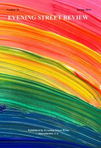 Cover Evening Street Review Number 20